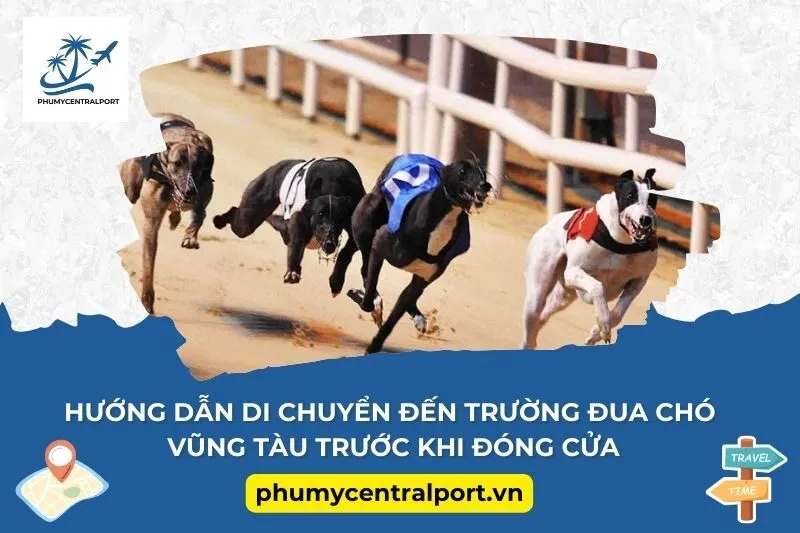 Hướng dẫn di chuyển đến Trường đua chó Vũng Tàu trước khi đóng cửa