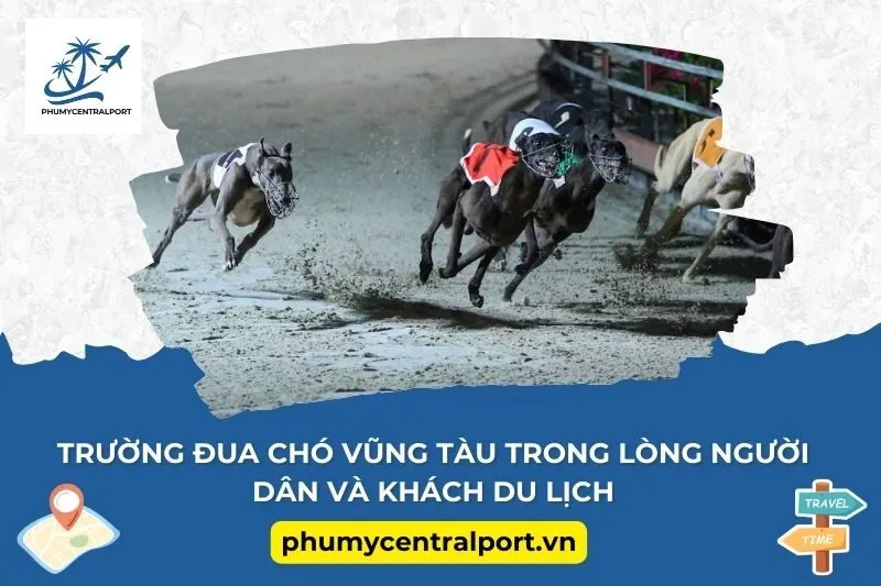 Trường đua chó Vũng Tàu trong lòng người dân và khách du lịch
